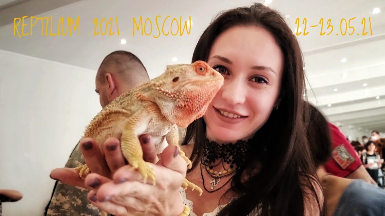 Рептилиум в Москве весной 2021. Немного всего, что удалось снять вне стрима
