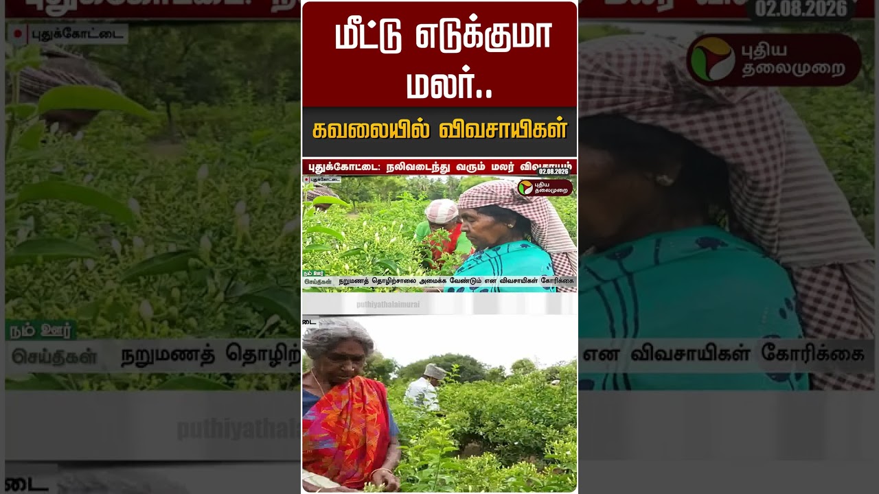 மீட்டு எடுக்குமா மலர்.. கவலையில் விவசாயிகள் #shorts