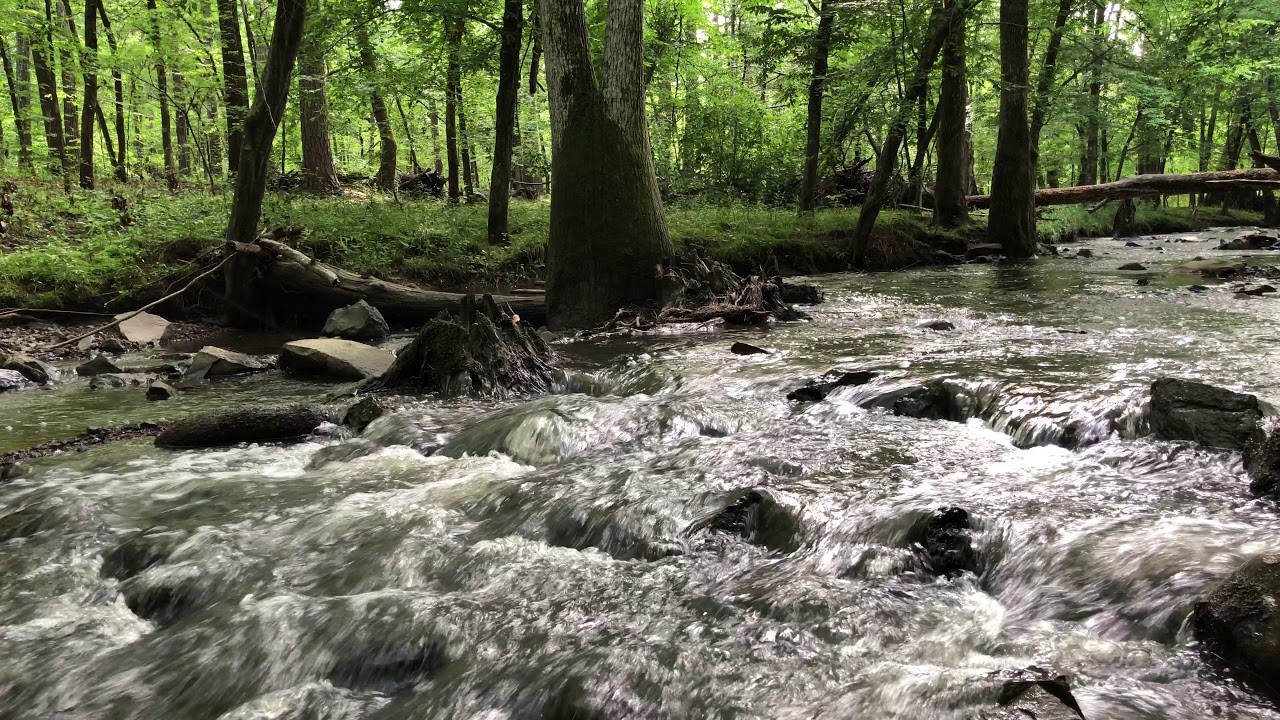 Rock Creek in Little Rock, Arkansas