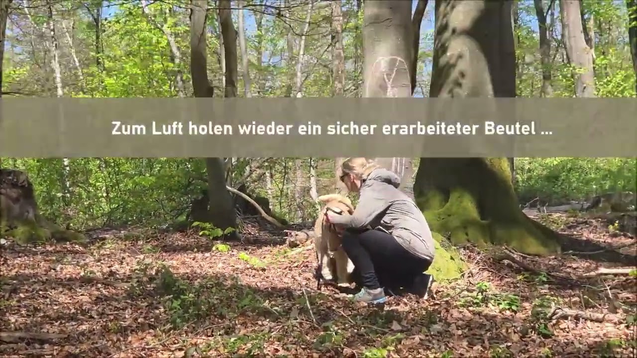 Special Trail Hunting : Thema  jagdliche Ablenkungen