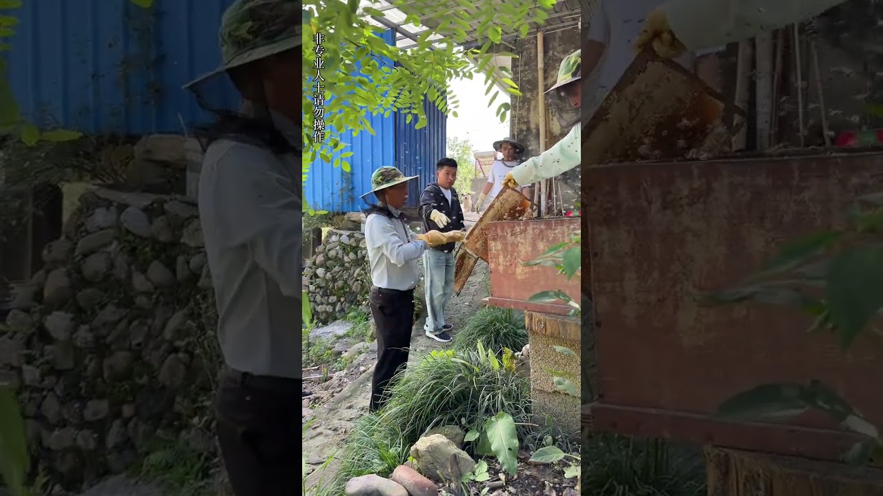 百花蜜 顾名思义：一年只取一次里面富含了百花之精华 其次浓度丰富的口感味道 综合达标才能算品质达标的百花蜜