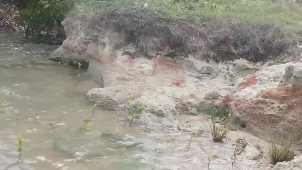 PESCARIA DE CARANGUEJO NOS MANGUEZAL DE AMONTADA CE