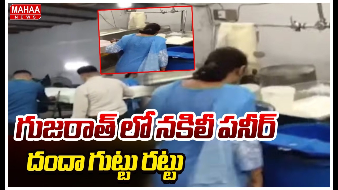 గుజరాత్ లో నకిలీ పనీర్ దందా గుట్టు రట్టు Fake Paneer In Gujarat | Mahaa News