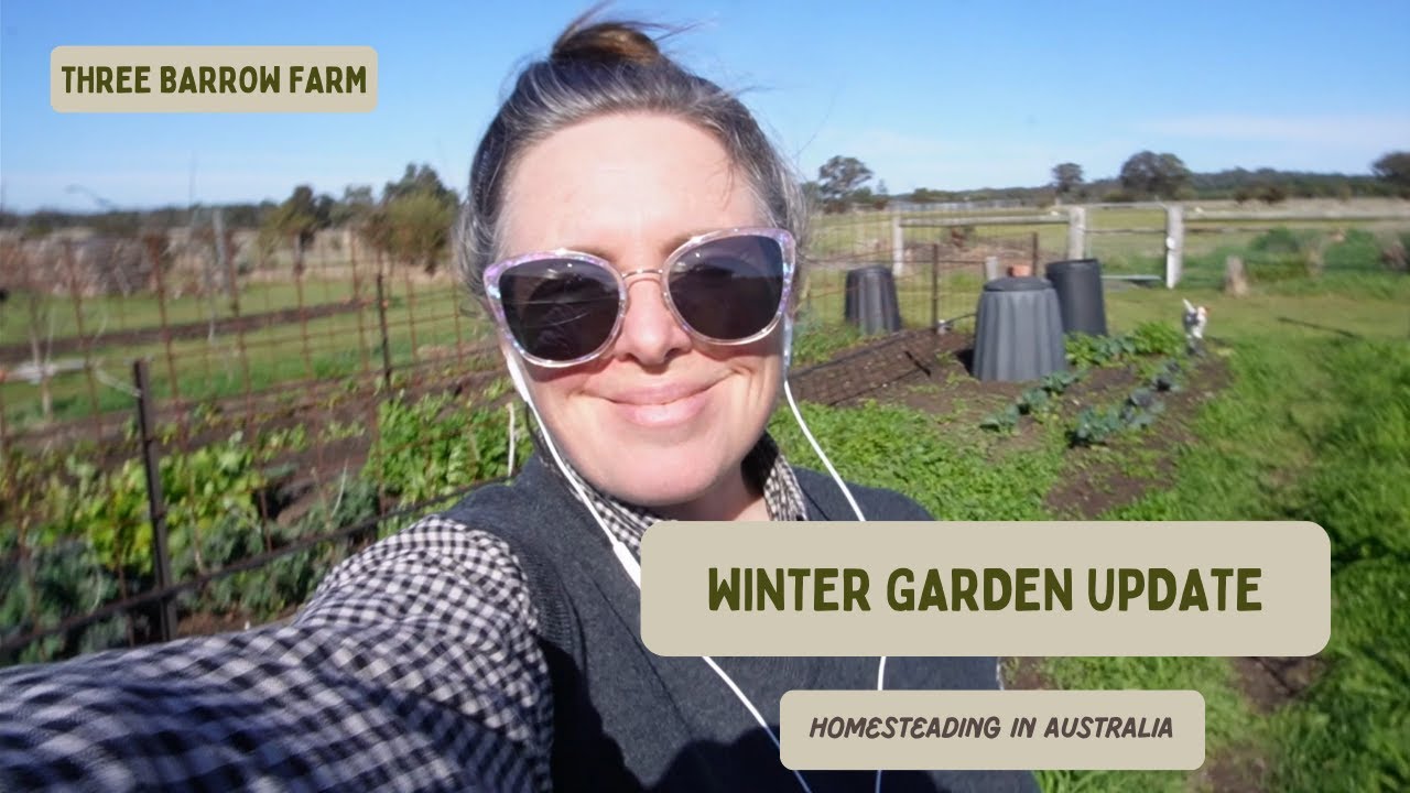 Homesteading Update - Winter Garden, Lambing Season, Victoria Australia