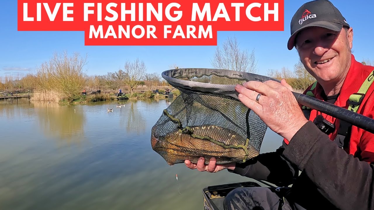 Live Fishing Match Manor Farm Swilland New Lake  ip6 9lb  #matchfishinguk