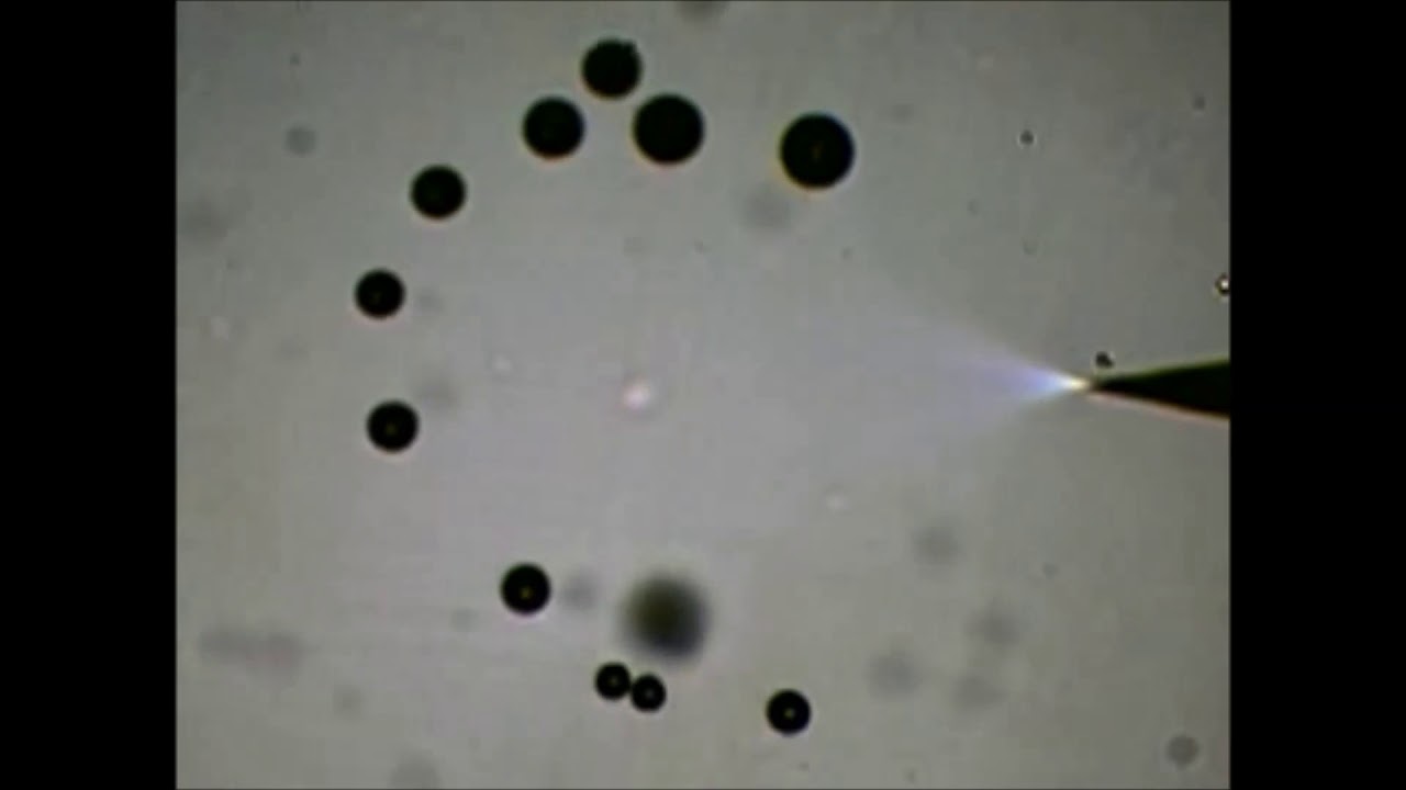 Microparticles controllable accumulation, arrangement, and spatial shaping performed