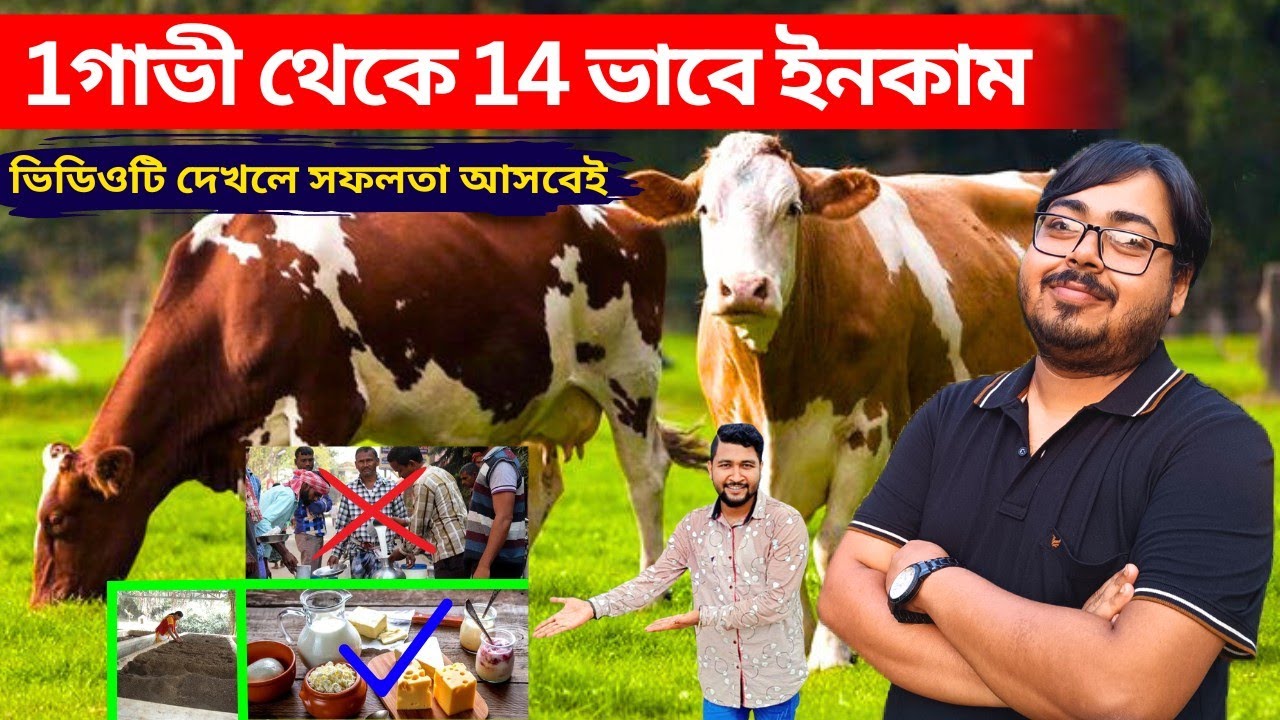 1 টা গাভী পালন করলে 14 ভাবে ইনকাম করা সম্ভব। এই ভিডিওটি ফার্মারদের সফলতা অনেক গুণ বেড়ে যেতে পারে।