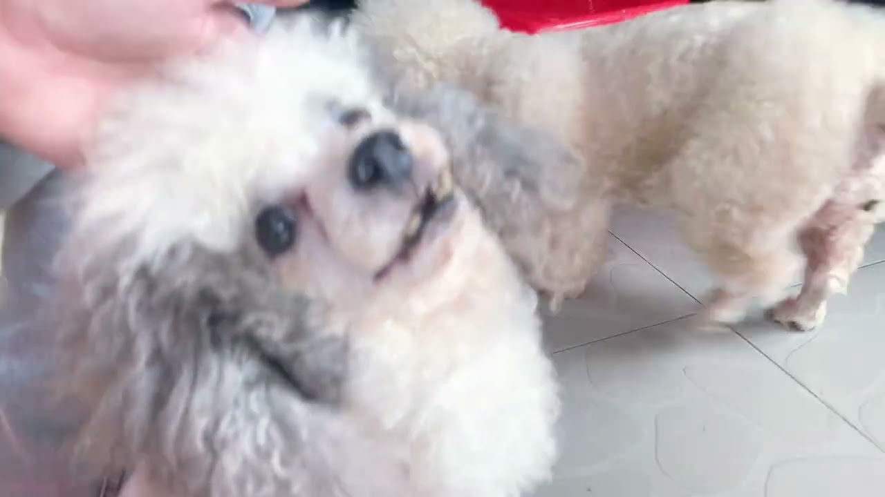 Cưng quá cưng quá 🤗🥰