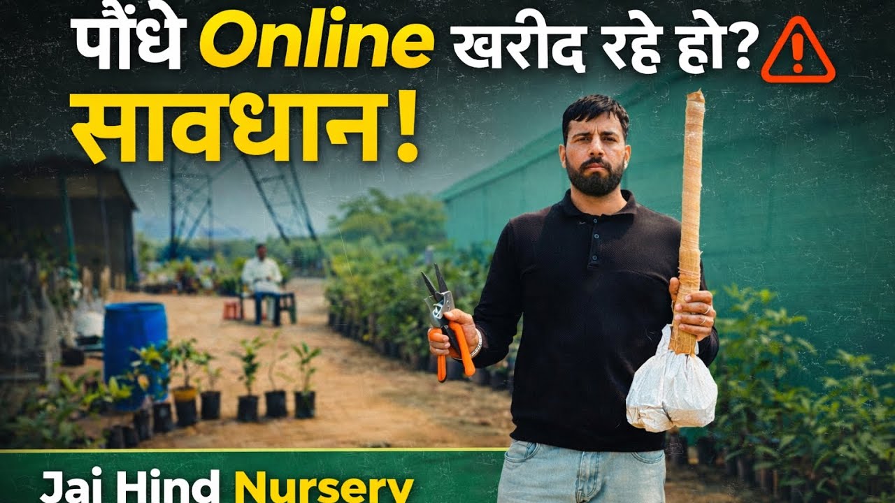 पौधे आर्डर करने से पहले ये जरूर जानें 🤔 Plants order transport🚚