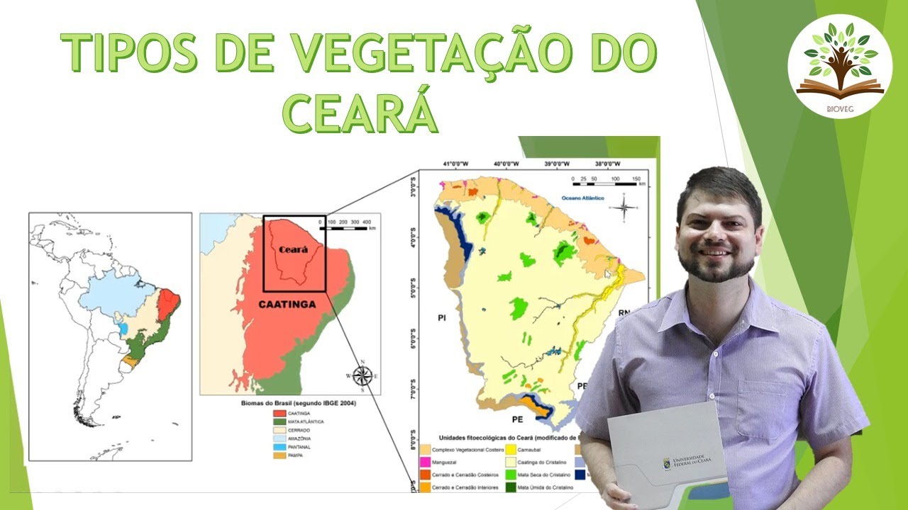 Você conhece a vegetação do Ceará?