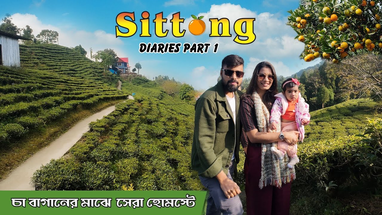 Sittong tour || চা বাগানের মাঝে সেরা  লোকেশন-এ হোমস্টে || Upper Sittong , Offbeat Darjeeling।।