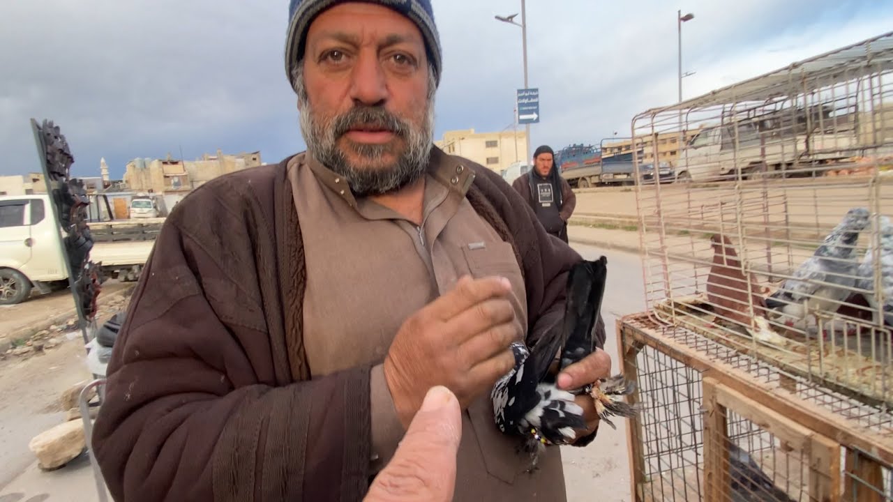 اسعار السوق خيالية😱 ولقينا طير ع السطح 
