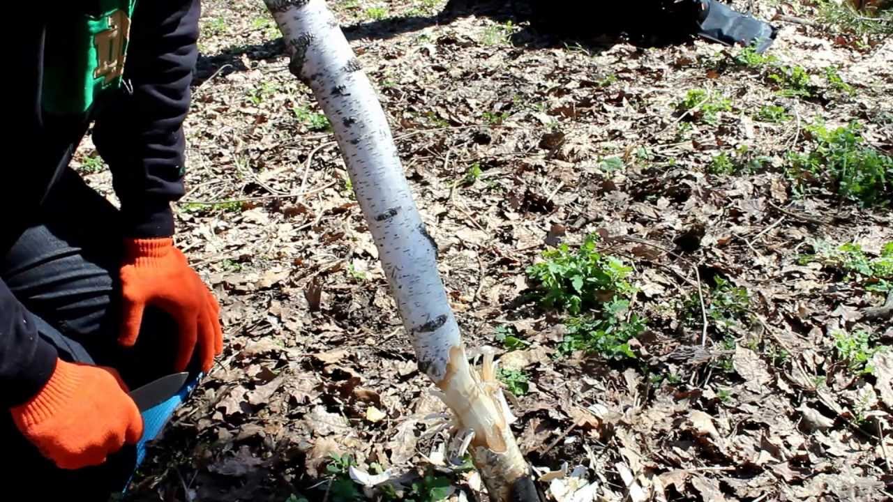 KA-BAR D'ESKABAR - Тесты. Ответ пользователю Vavuha.