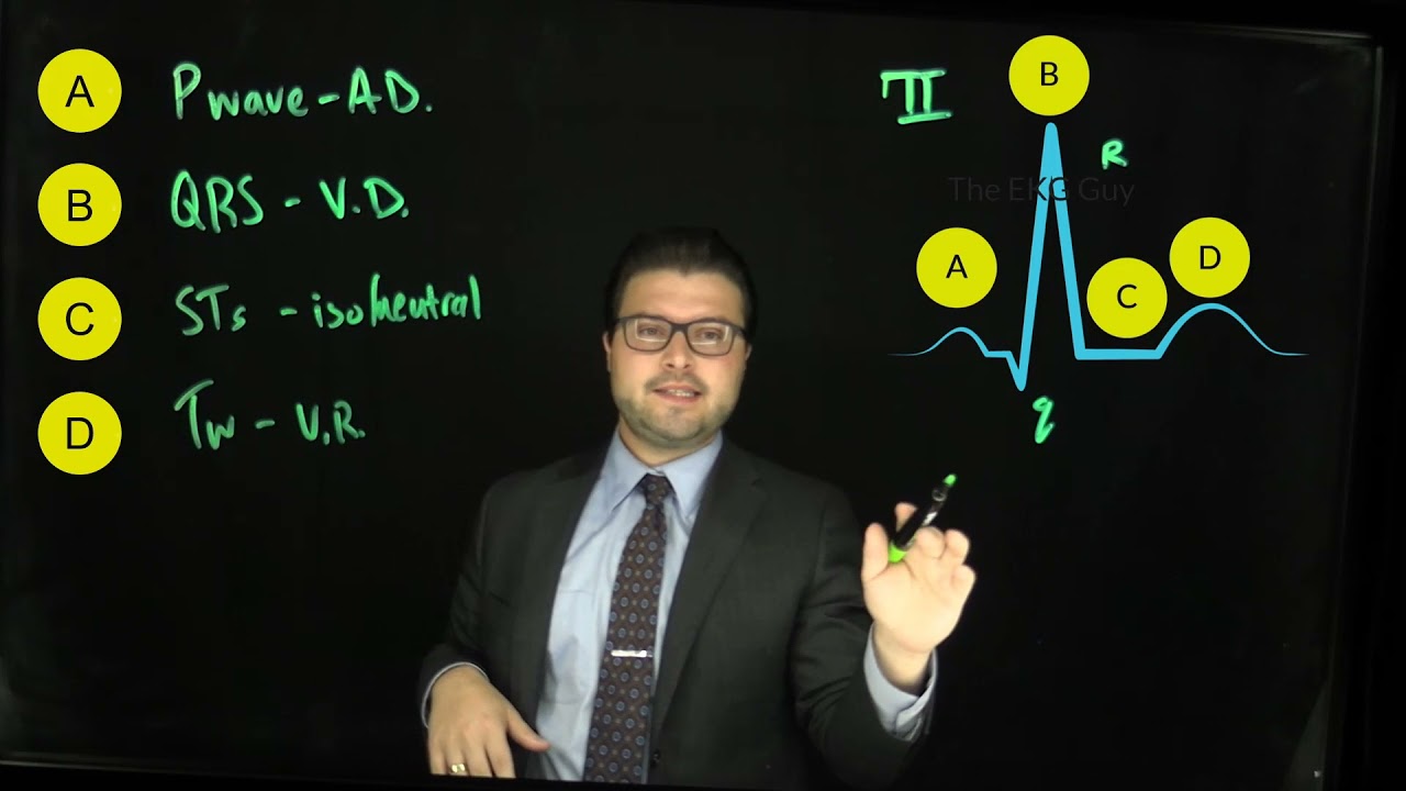 Cardiac cycle basics | The EKG Guy - www.ekgguy.com