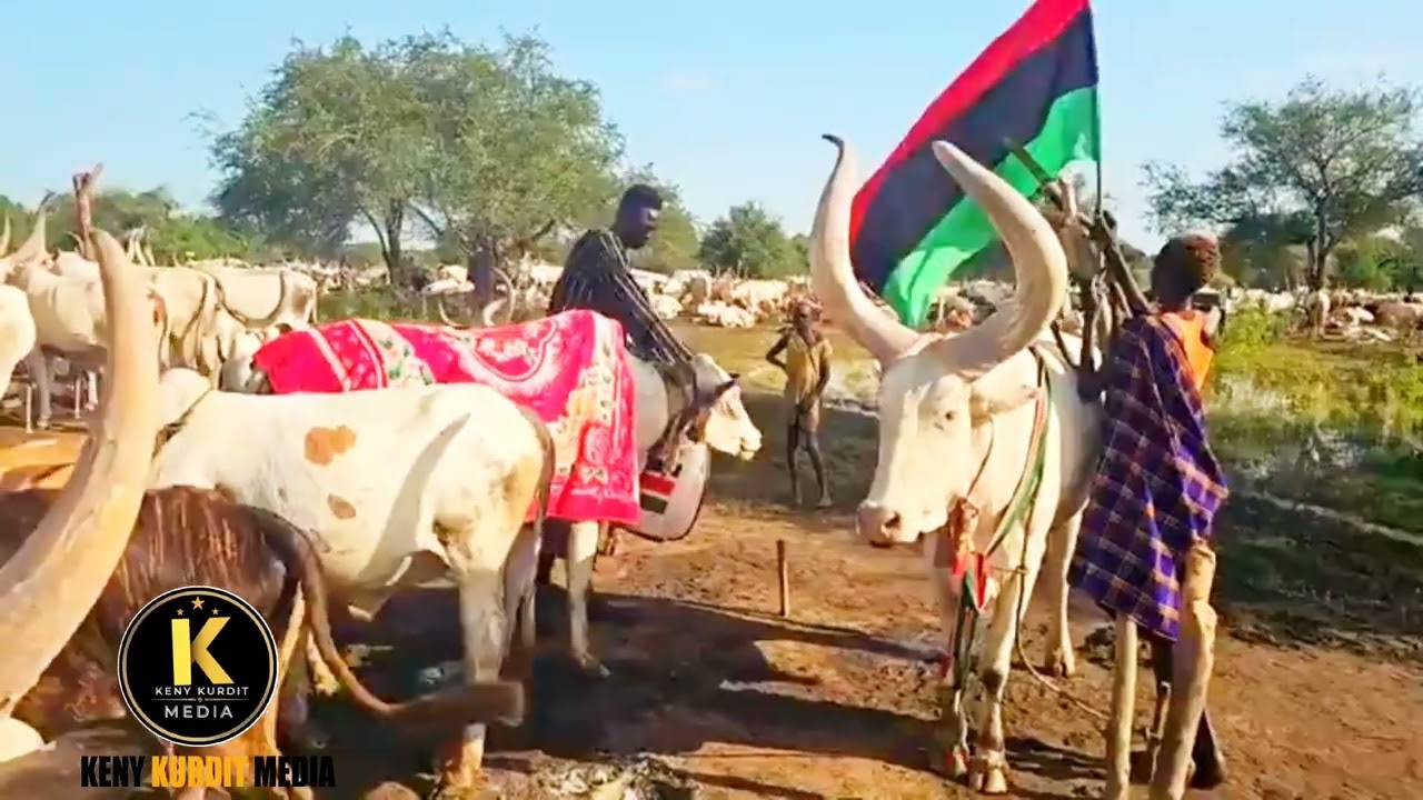 The best of Jenzirdit Makur Abiar aka Nyoordit Ahoc Malou at Tomrok Cattle camp 
