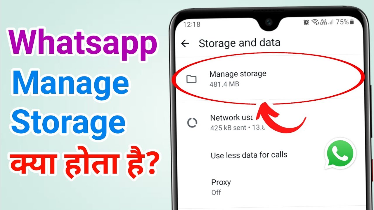 Whatsapp mein Manage Storage setting क्या होता है, कैसे Use करते हैं?