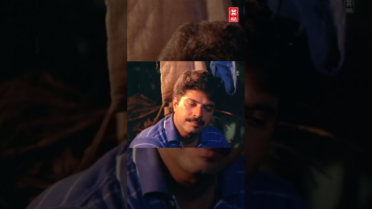 മൂപ്പർ ഹോട്ടലിൽ മുറി എടുത്തിട്ട് സൂറയെ അങ്ങോട്ട് വിളിക്കാ പതിവ് | kalikkalam | Mammootty #shorts