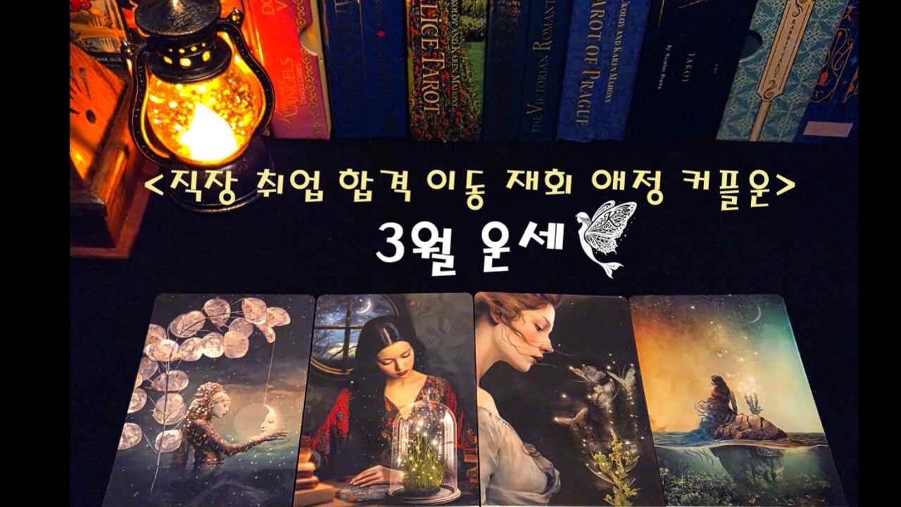 3월 전체운