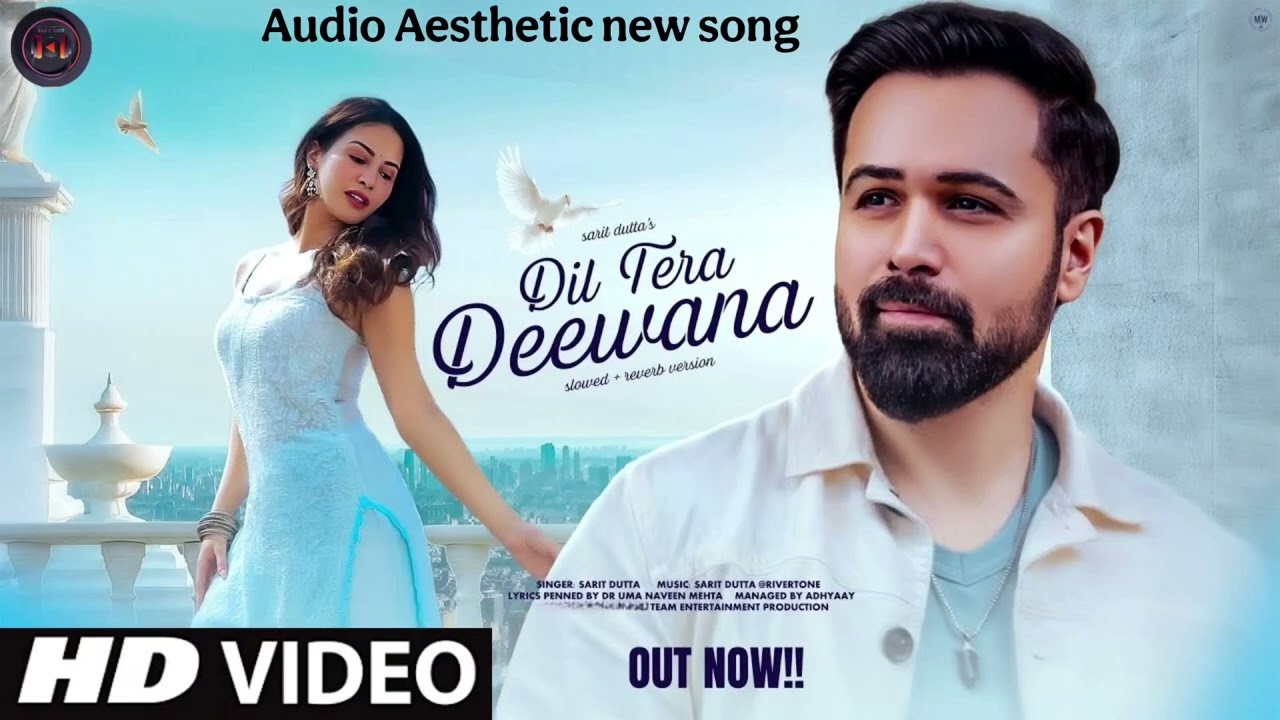 New Song 2026 |New Hindi Song |MeraDil Tera Deewana |Emraan Hashmi |Romantic Song | Video