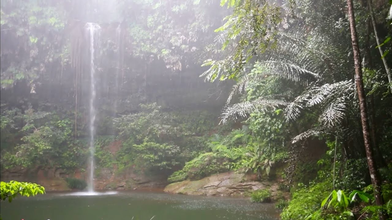 BEAUTIFUL RAINFORESTS AND CALM WATERS WITH RELAXING AMBIENT SOOTHING MUSIC & SOUNDS