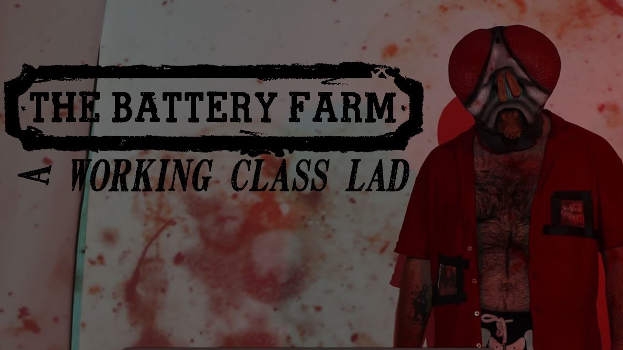 The Battery Farm -  A Working Class Lad
