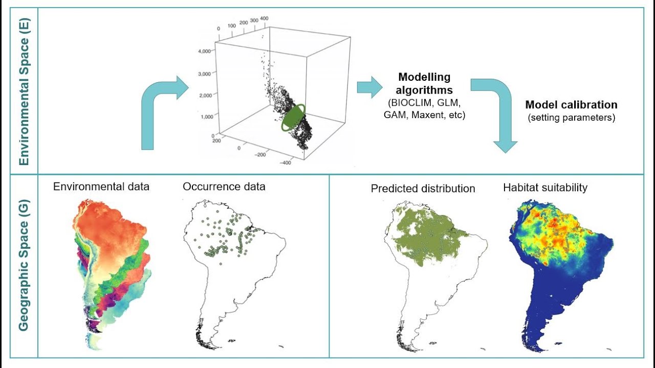SDM-5,6. Modeling with MaxEnt