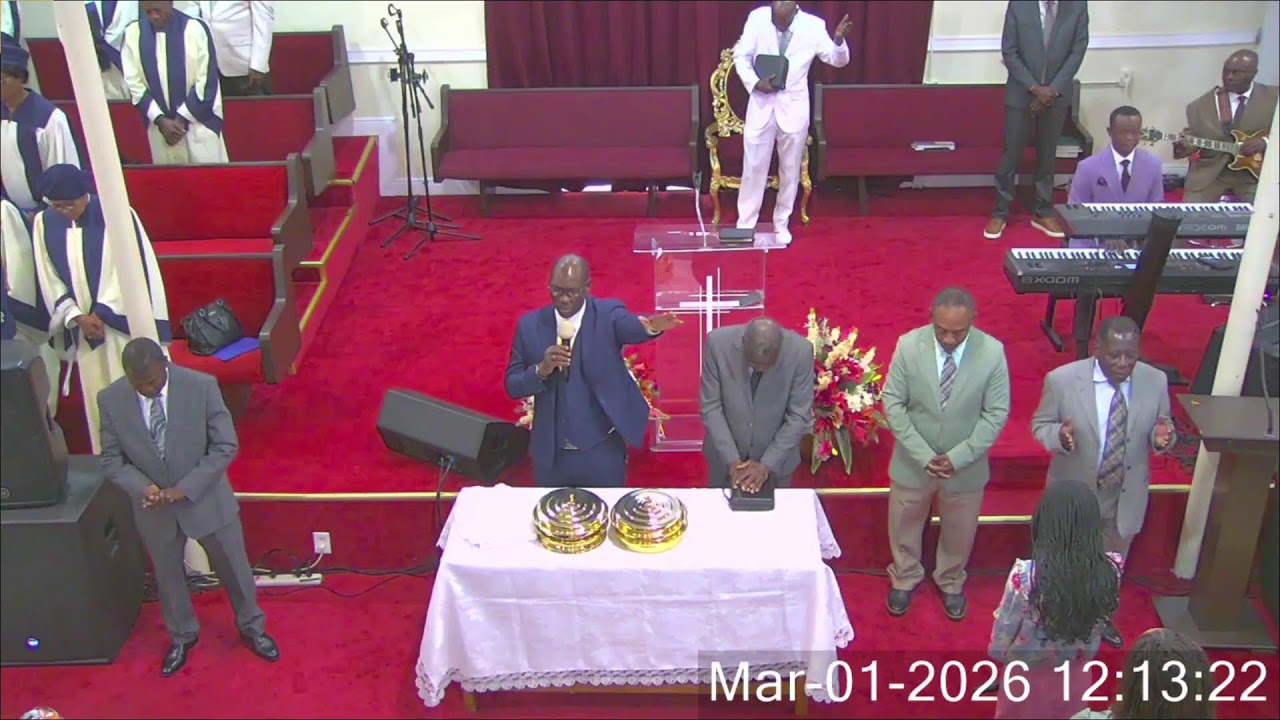 EBC Miami Live Stream