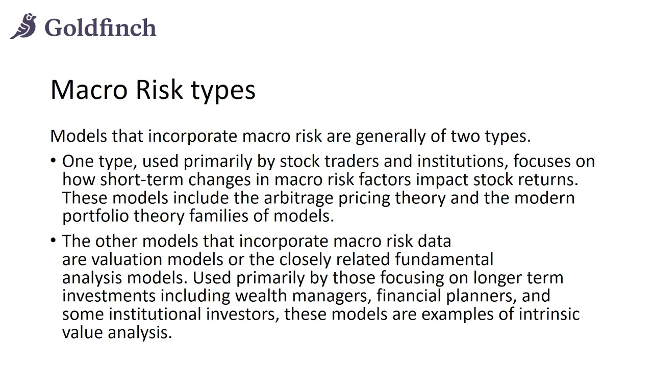 what is macro risk