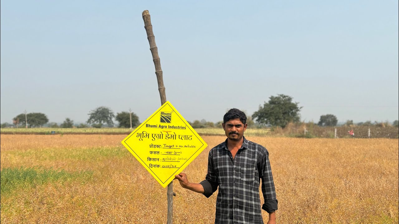 भूमी ऍग्रो इंडस्ट्रीज च्या मार्गदर्शनात डेव्हलोप केलेला चना प्लॉट💯✅