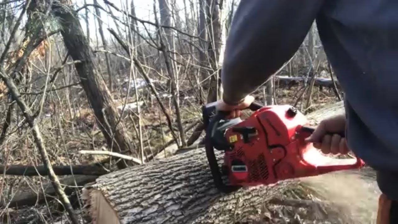 A long day cutting firewood with the shindaiwa 591