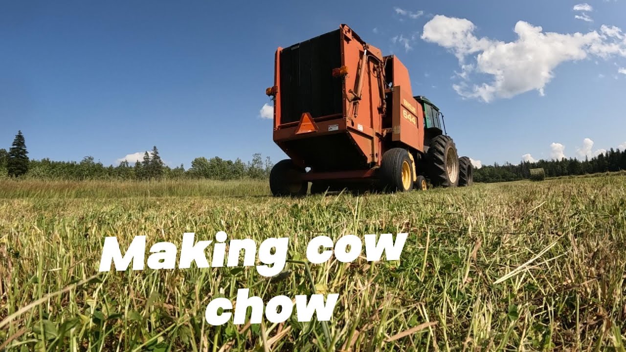 Old new holland baler still get the job done … baling round bale silage
