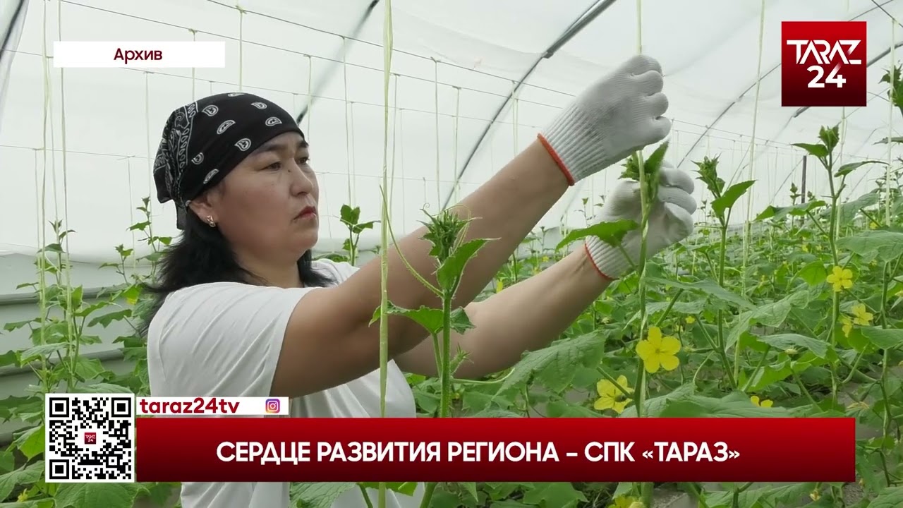 СЕРДЦЕ РАЗВИТИЯ РЕГИОНА – СПК «ТАРАЗ»
