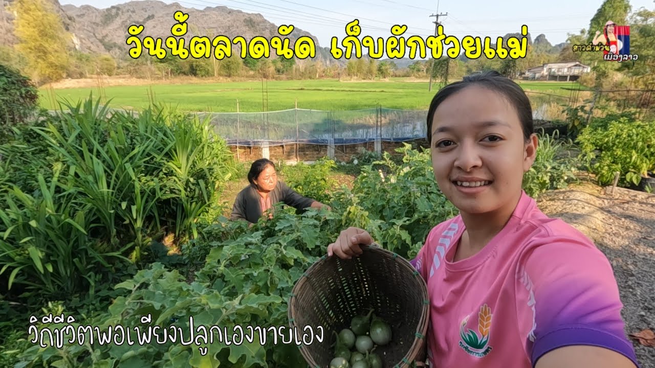 วันนี้ตลาดนัด เก็บผักช่วยแม่ไปขาย วิถีชีวิตพอเพียงปลูกเองขายเอง...