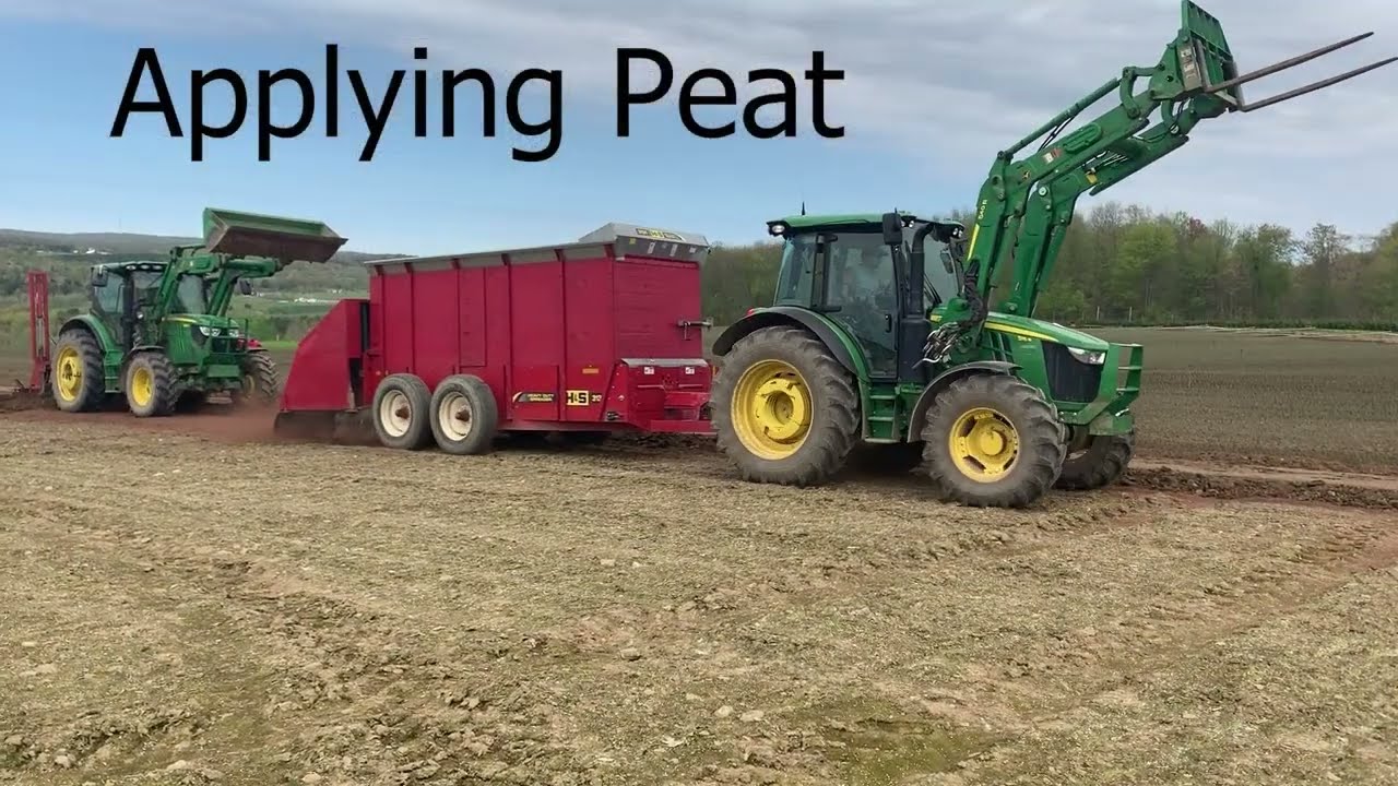 Evergreen/Christmas tree farm (Planting and Harvesting of Evergreen Transplants)