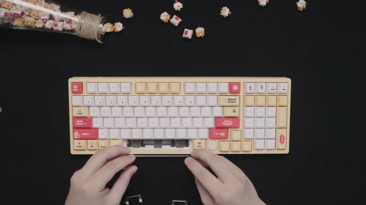 Attention! GATERON Co-branded IG 98 Mechanical Keyboard is here.