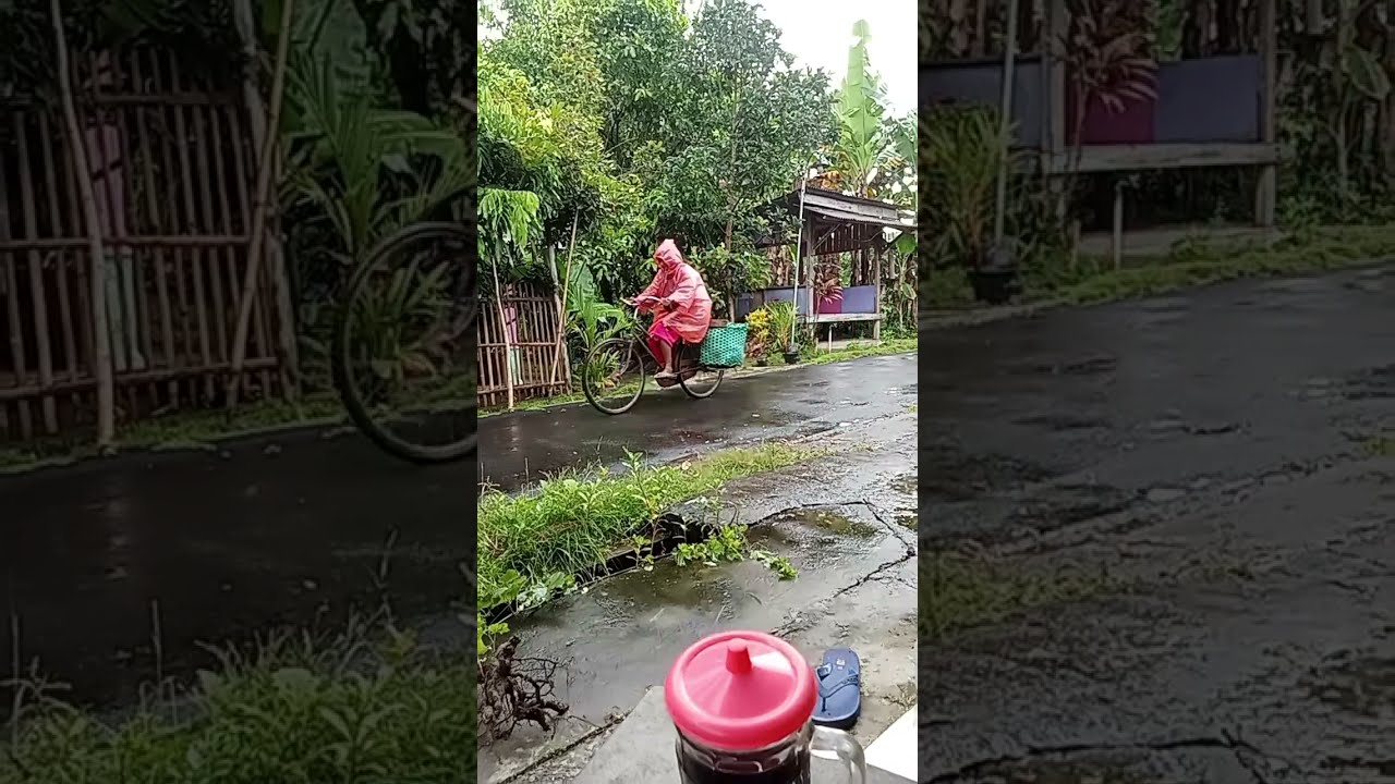 Live Rain Sounds in Indonesian Village | Relaxing Nature Ambience 