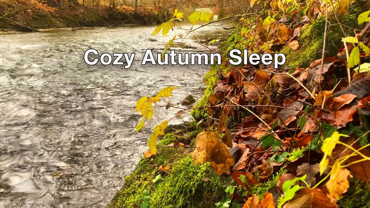 Autumn River Ambience for Sleep 🍂 Gentle Water & Fallen Leaves Nature Sounds