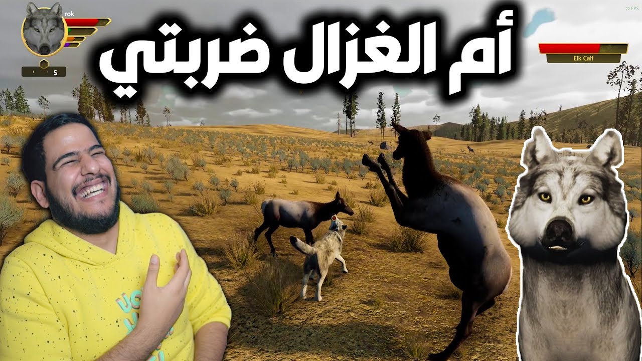 الزعيم روك يفرض السيطرة في الغابة | محاكي الذئب
