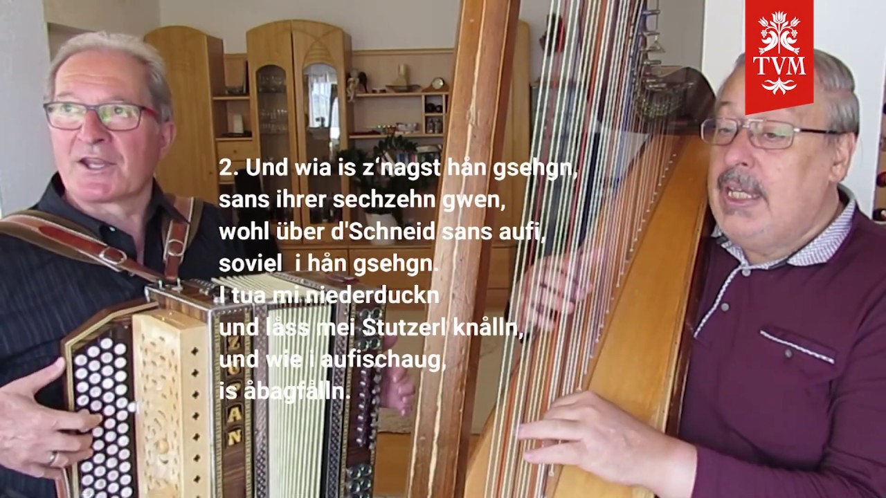 Die Gamslan schwårz und braun