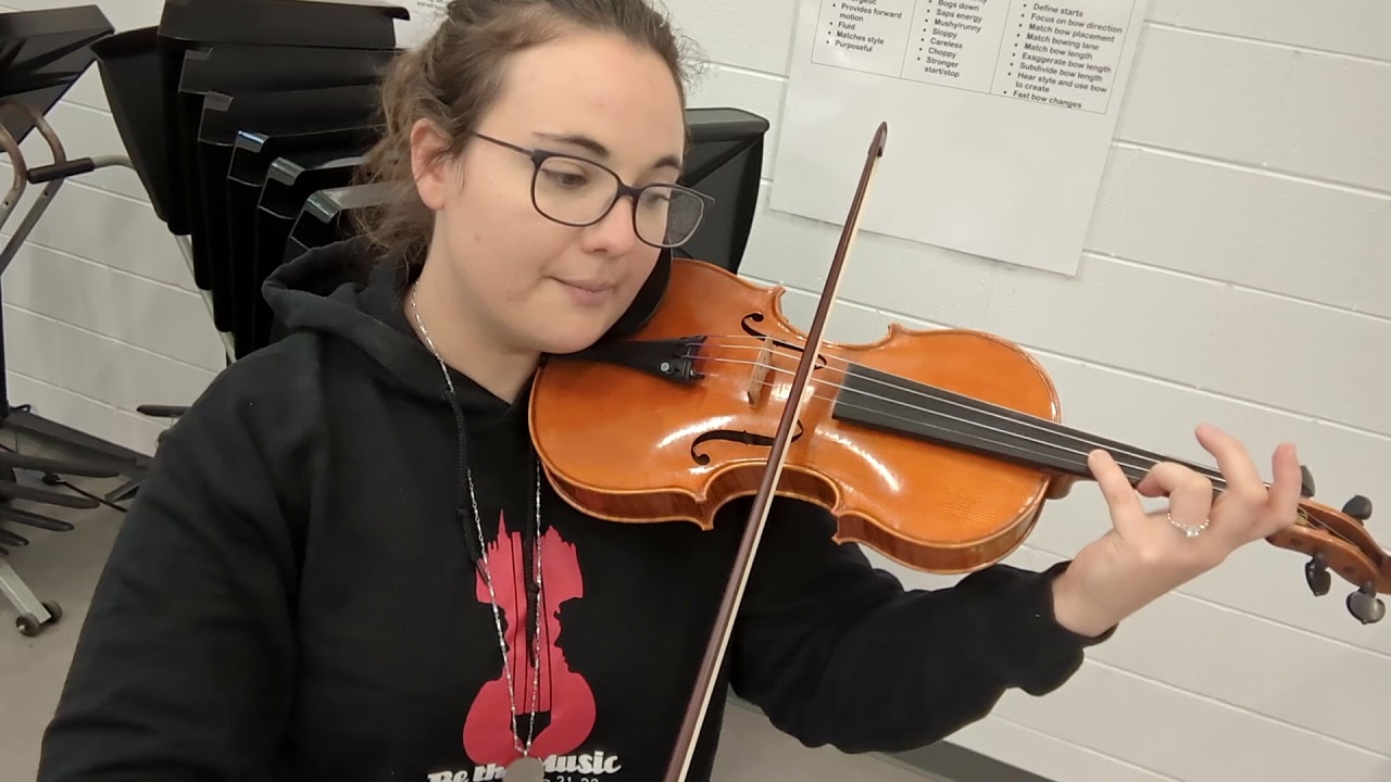 1st Violin Dinosaur Damage