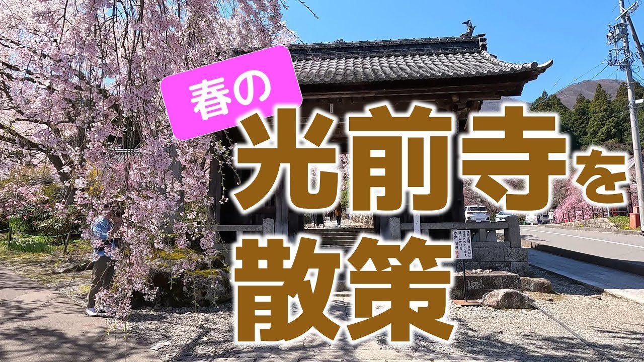 春の光前寺を散策　散策動画