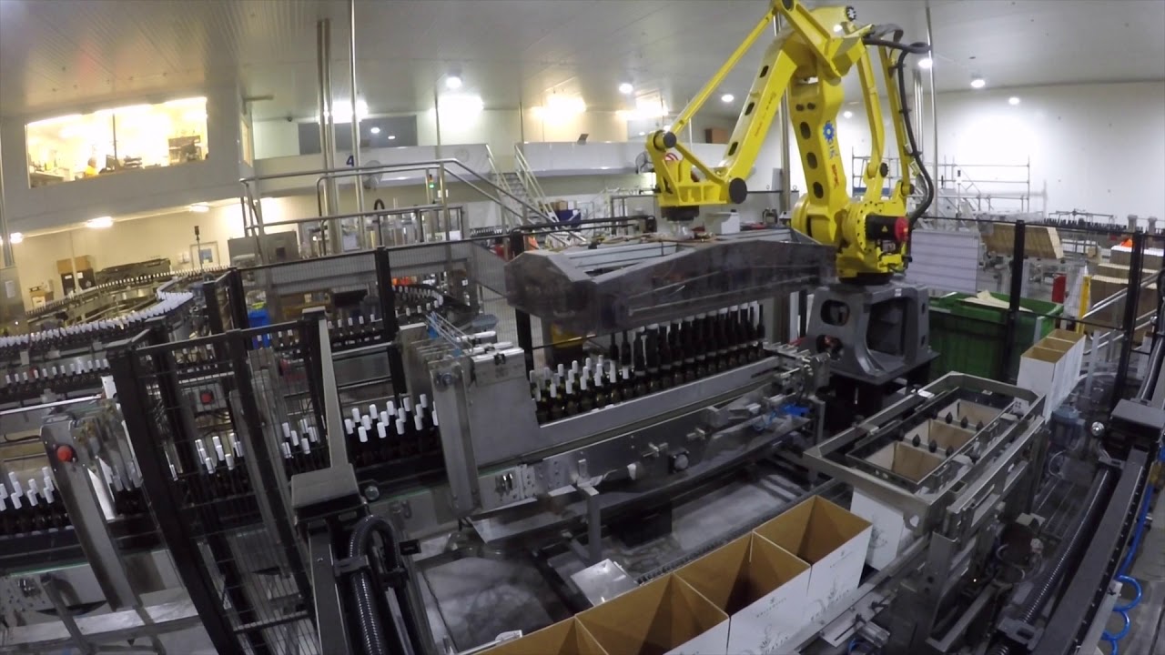 Grapes to Glass: Work in a New Zealand Wine Factory