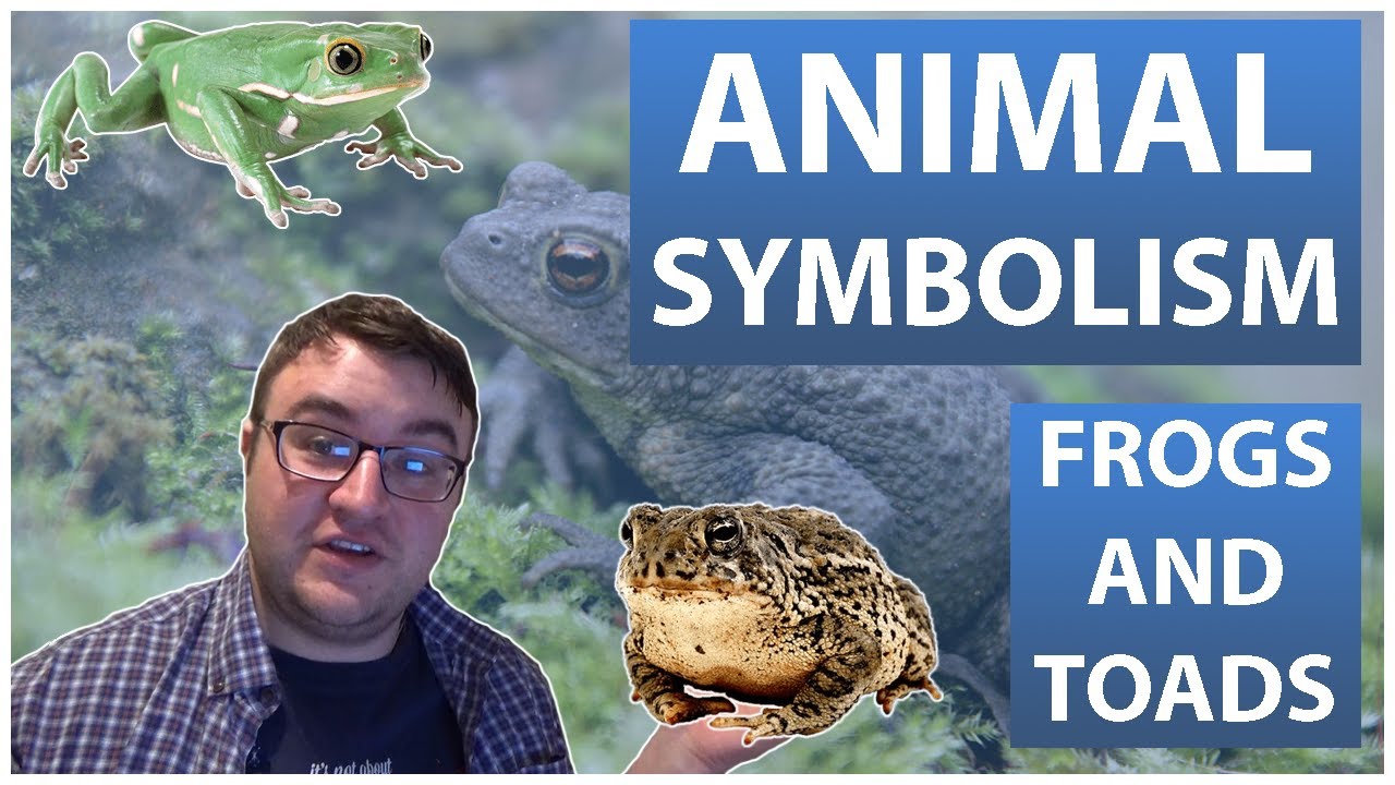 Animal Symbolism - Frogs and Toads