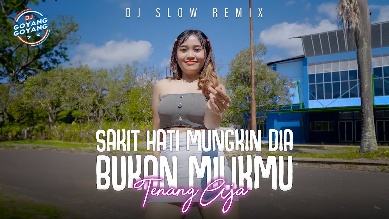 Sakit Hati Mungkin Dia Bukan Milikmu Tenang Aja (Remix) - Dj Goyang Goyang | Paprika