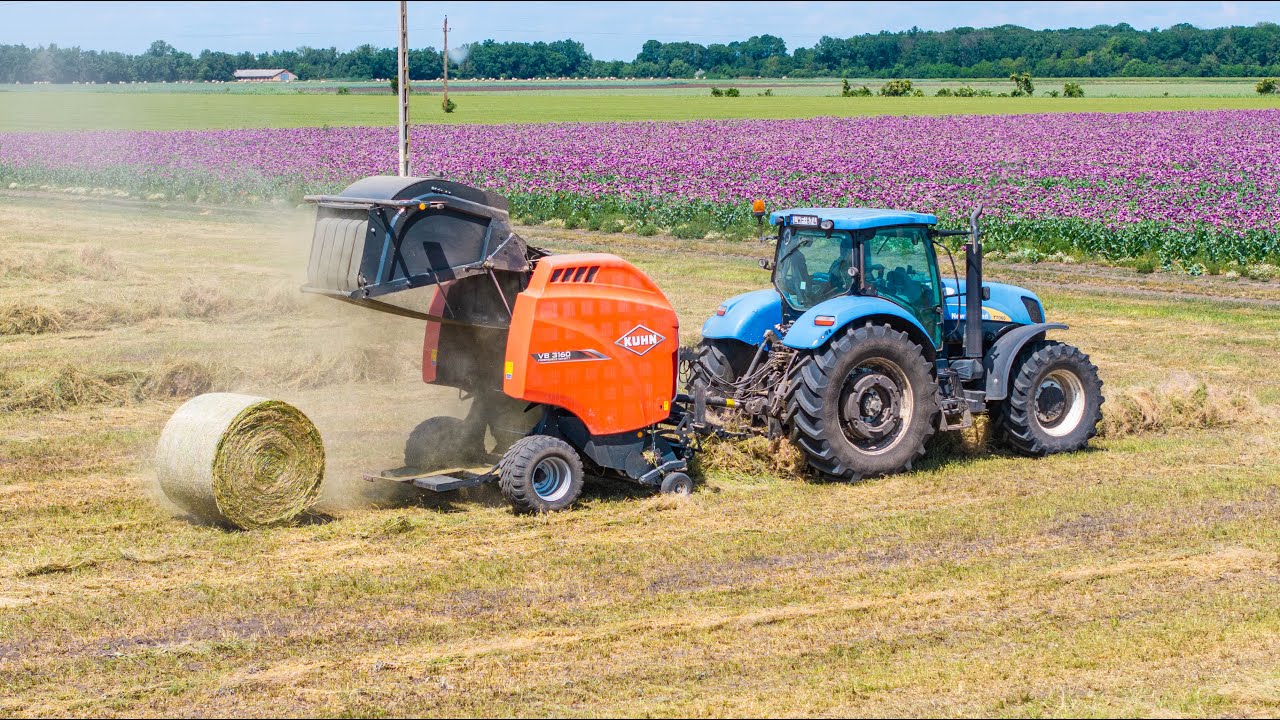 NH + KUHN VB 3160 | Gazdavélemény - évi 14 ezer bálát készítünk vele | Lucerna bálázás
