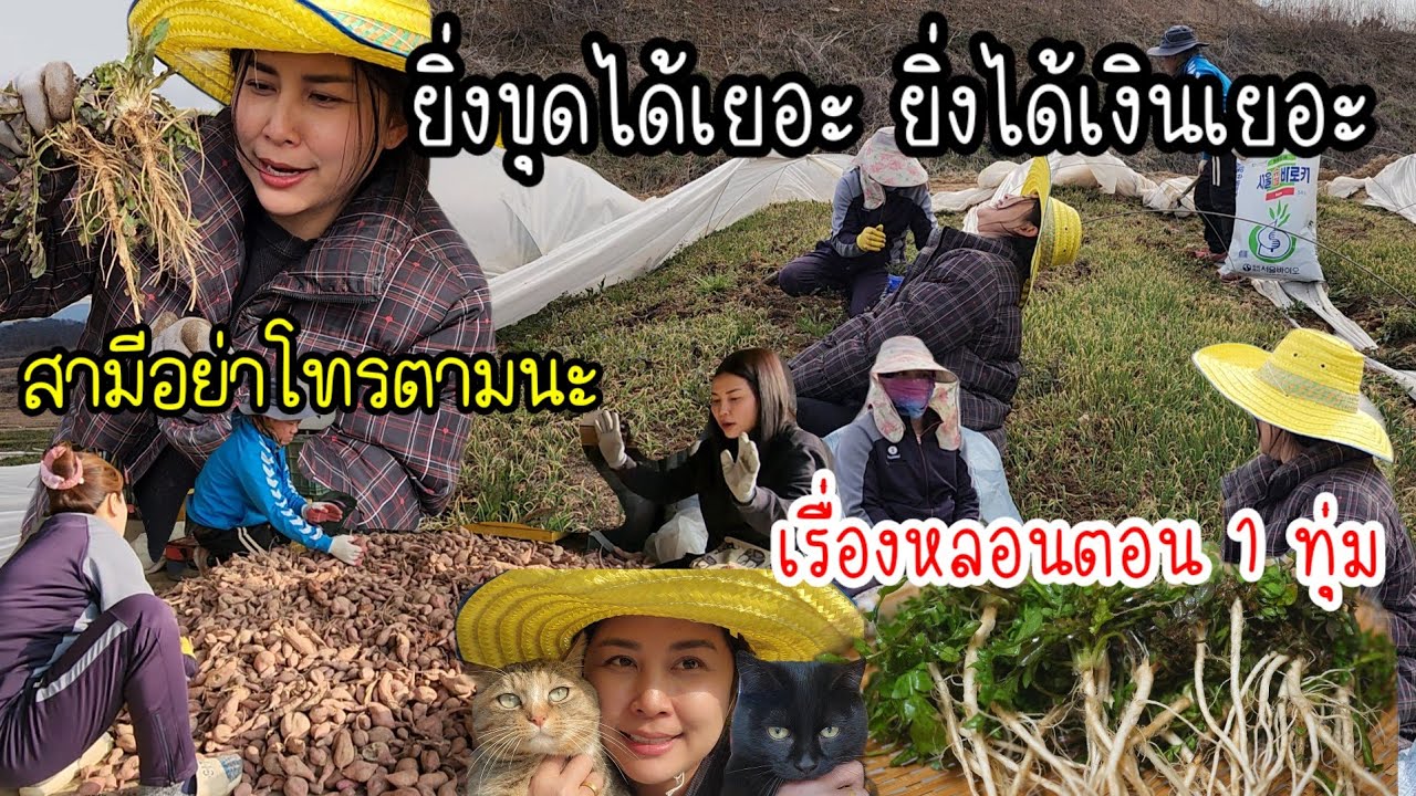 EP.852 วันหยุดไม่ได้พัก งานอดิเรกเงินดีรออยู่ข้างหน้า ก็ไปสิค้าบบ..😍..
