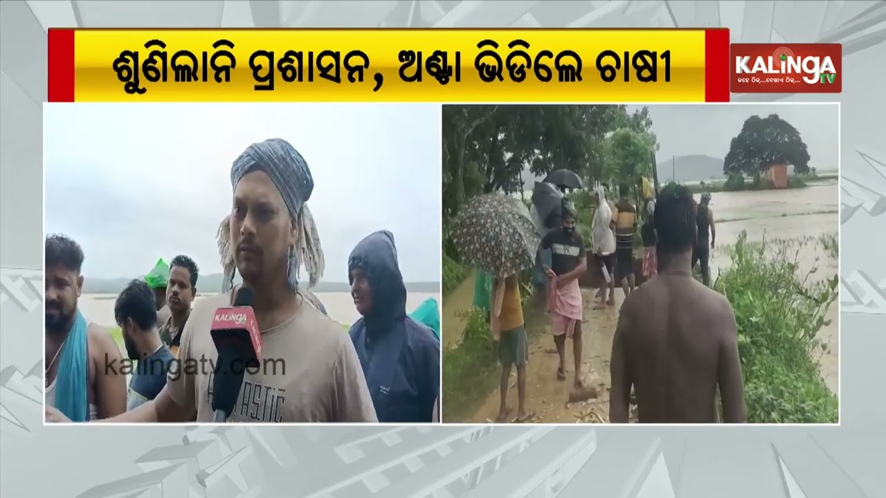 Crop Damage in Cuttack&rsquo;s Athagarh as Canal Breach Causes Flooding in Rajnagar Area || Kalinga TV
