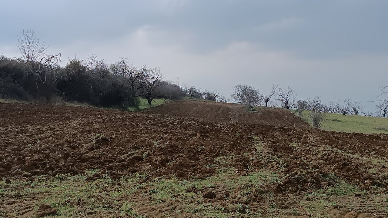 PREPARARE IL TERRENO PER UN FRUTTETO - L'IMPORTANZA DELLA RIPPATURA