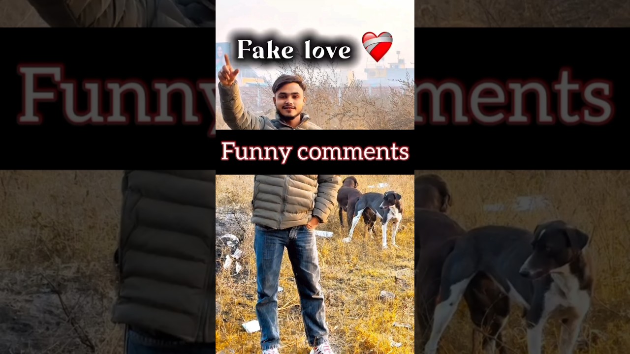 Fake Love | Funny Instagram Comments 🤣 pt 561 | Rimi Pal | 