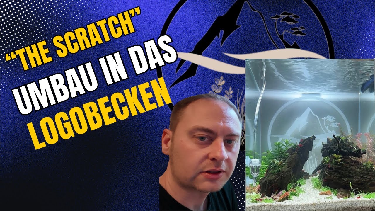 Layout „the Scratch“ UMBAU in das LOGOBECKEN